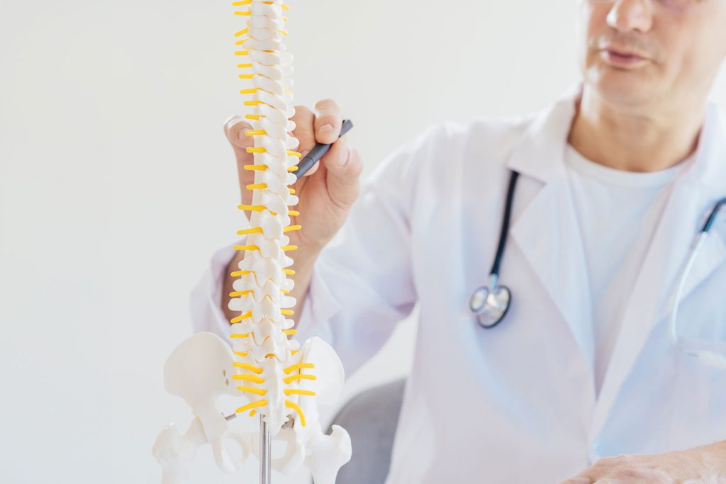 Doctor pointing at a back bone.